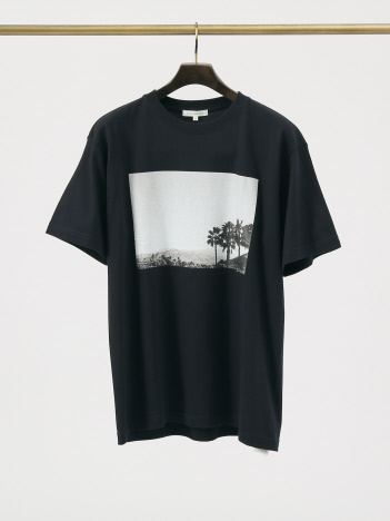 DESIGNWORKS (MEN'S) - PALM TREE フォトTシャツ