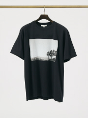 デザインワークス (メンズ)
PALM TREE フォトTシャツ