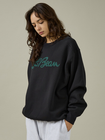 【WEB限定】LL BEAN / エルエルビーン / MAINE / フロントプリントスウェット