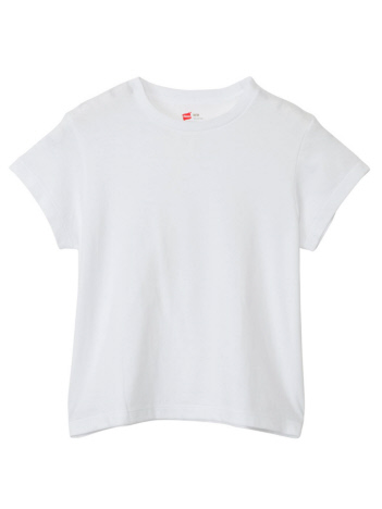 SELECT BY ABAHOUSE (Ladie's) - 【HANES/ヘインズ】2P クルーネックショートスリーブ・ロングスリーブTシャツ by THE DODO JEAN 25FW ヘインズ(HW1-C701)