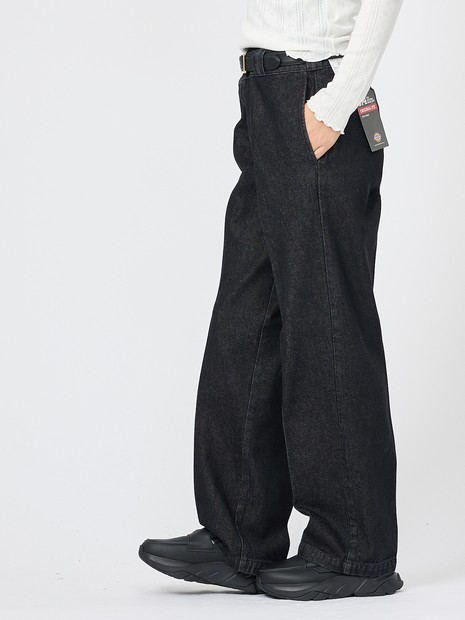 Dickies / ディッキーズ】ブラックデニム / 874 / DB2040 / ユニ