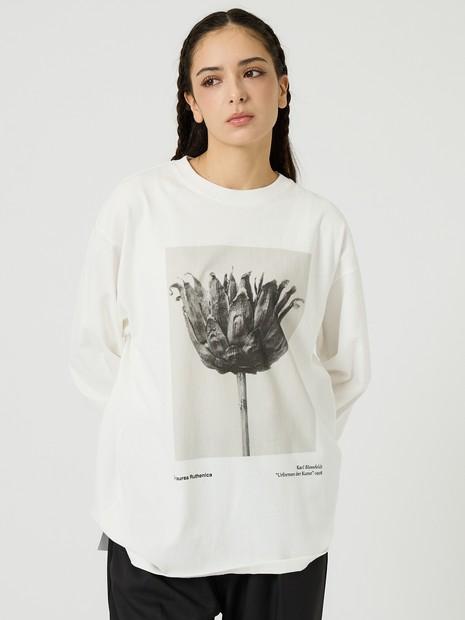 【JOHNBULL/ジョンブル】Karl Blossfeldt / ロングスリーブTシャツ
