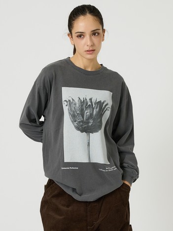 SELECT BY ABAHOUSE (MEN'S) - 【JOHNBULL/ジョンブル】Karl Blossfeldt / ロングスリーブTシャツ
