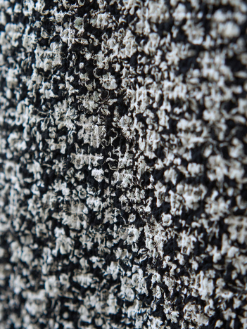 MATERIAL