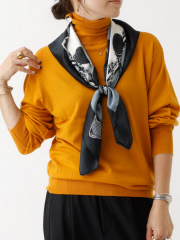 ベーシックタートル