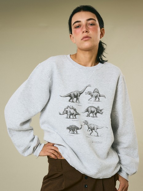 sowhat vintage×Russell Athletic×NOMINE 恐竜プリント クルーネック スウェット｜オーバーサイズシルエット ユニセックス 裏起毛