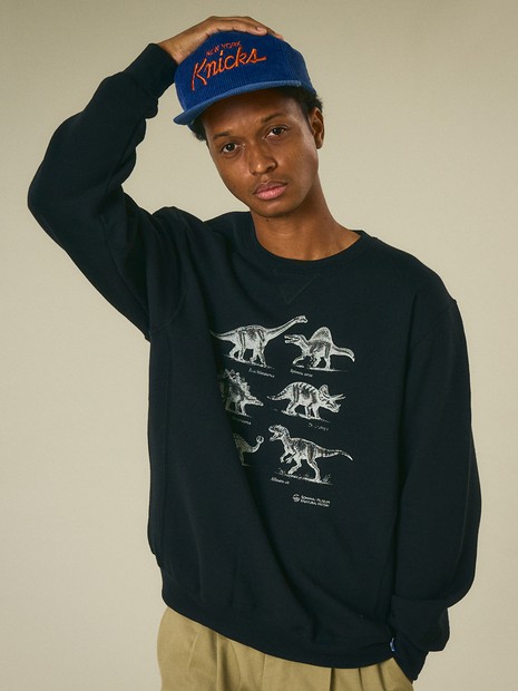 sowhat vintage×Russell Athletic×NOMINE 恐竜プリント クルーネック スウェット｜オーバーサイズシルエット ユニセックス 裏起毛