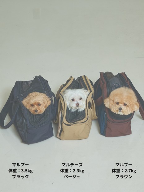 ディテール12