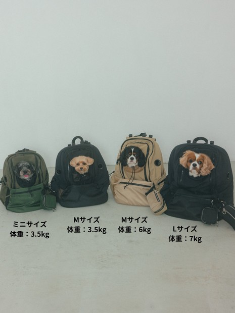 ディテール10