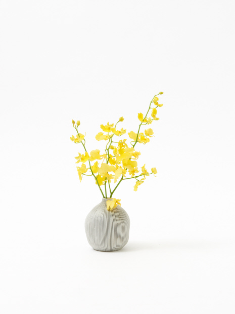 ポッテリvase line