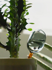 【amabro/アマブロ】 TWO TONE WATER DISPENSER ウォーターディスペンサー S 耐熱ガラス製 自動給水器