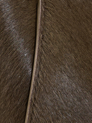 MATERIAL